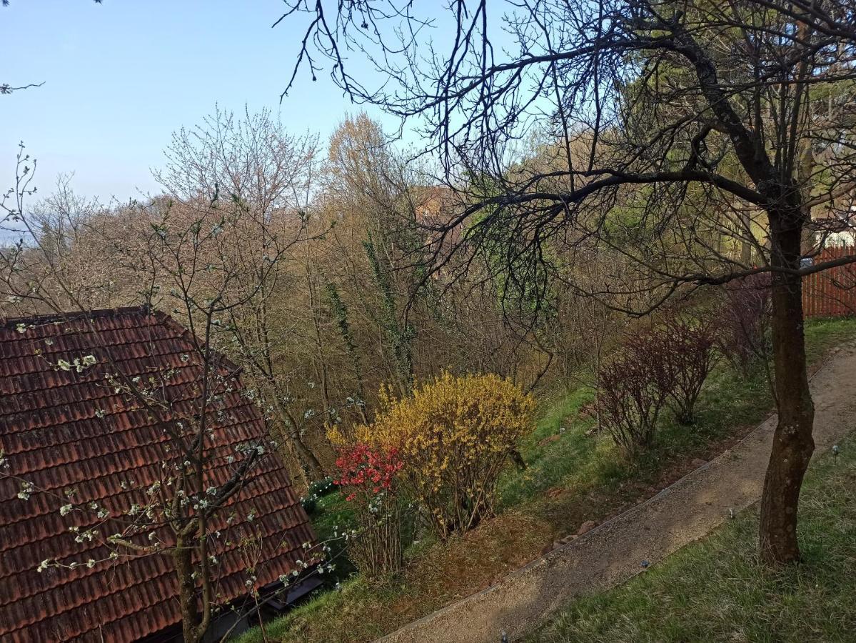 Serenity Dramlje Bagian luar foto